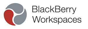 BalcBerryWorkspaces_Logo