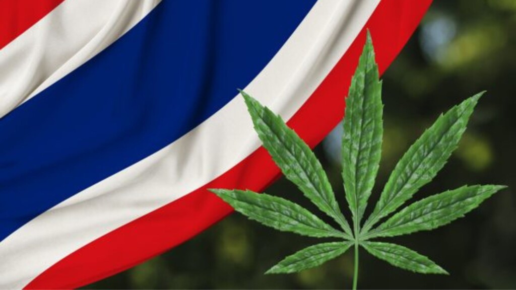 Marijuana in Thailand